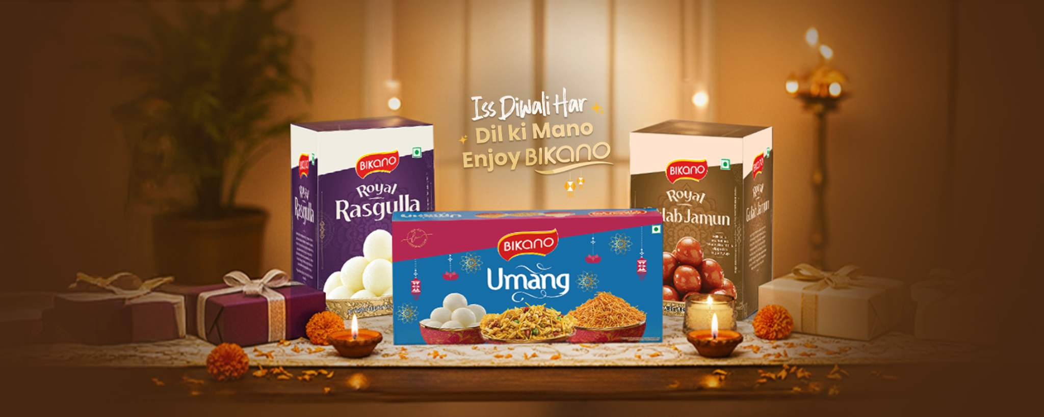 Bikano banner